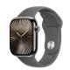Apple Watch S10 Cellular 42mm Natural Titanium Case with Stone Grey Sport Band - S/M